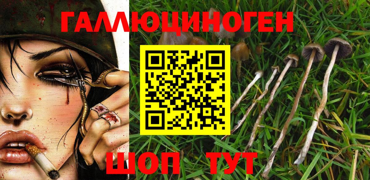 Псилоцибиновые грибы Magic Shrooms Ревда